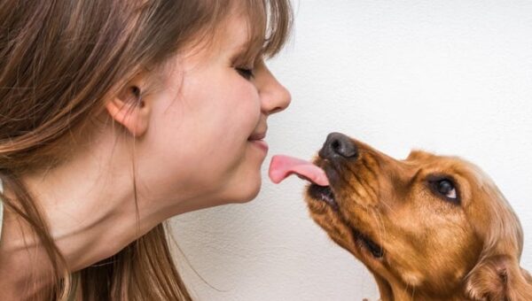 600 Bacteria Live in Your Dog’s Mouth