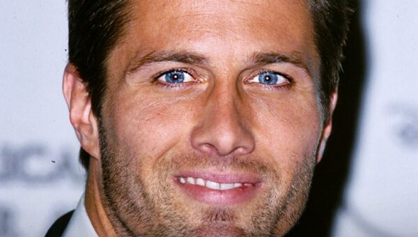 Rob Estes Turns 61 with Gray Hair and Those Eyes Still Stop People Cold