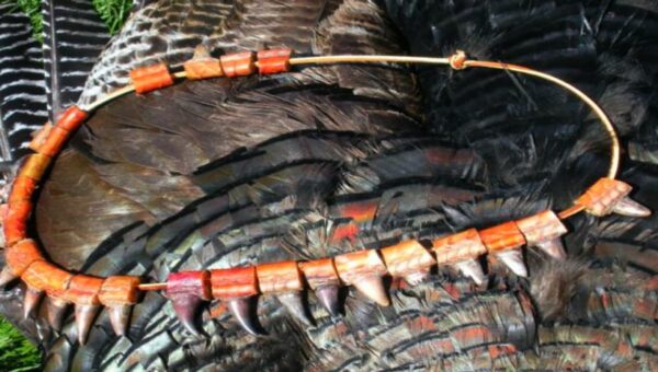 The Turkey Trophy Most Hunters Throw Away